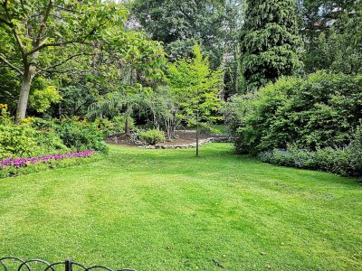 Conseils pour entretenir son jardin et créer un espace extérieur harmonieux